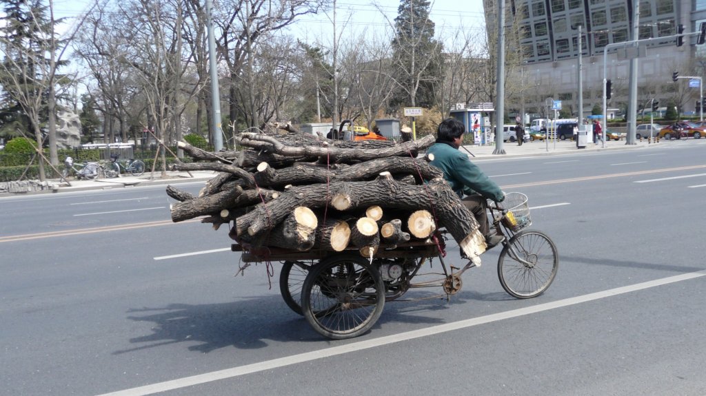 Auf der Wusi Dajie in Beijing fanden Baumfllarbeiten statt, und irgendwie musste das Kleinholz ja abtransportiert werden. Ein Hilfsmotor erleichterte die Strampelei natrlich ungemein...