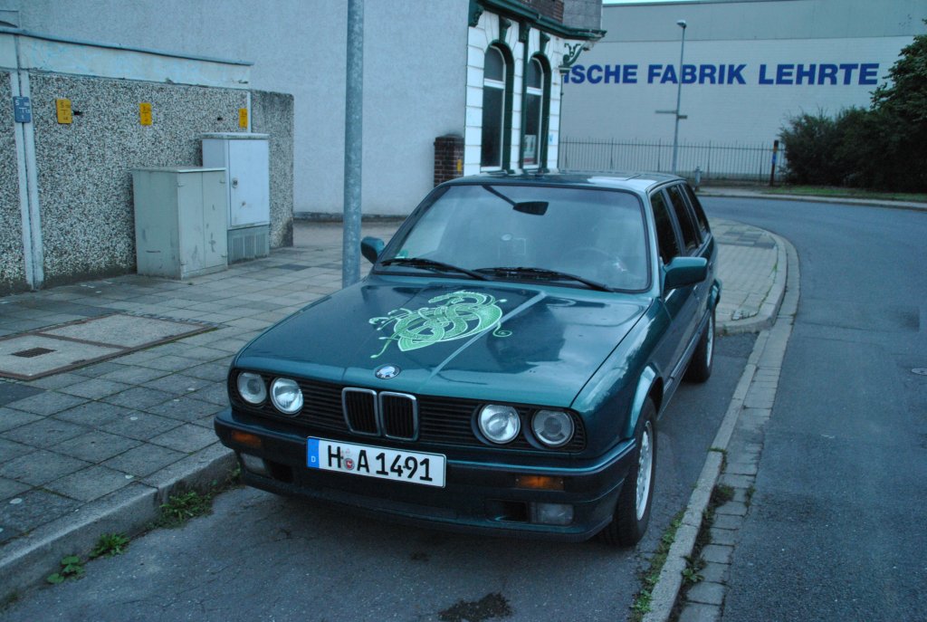 BMW 3 mit grner Schlange auf der Motorhaube, am 16.08.2010.
