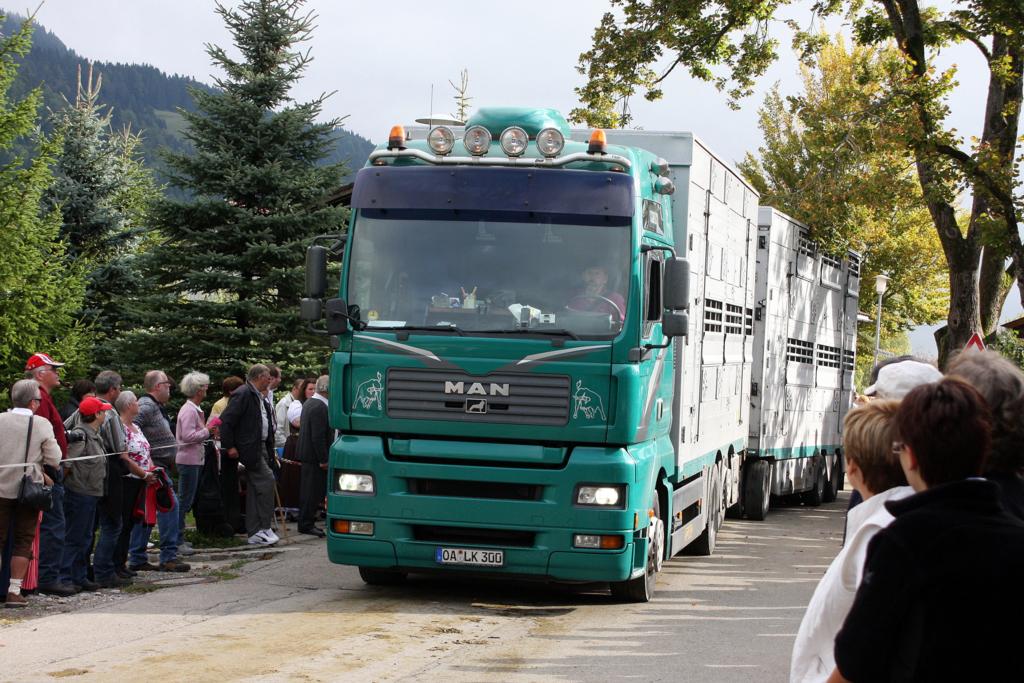 Dieser MAN Hngerzug fr Viehtransporte qulte sich bei der Viehscheid
in Thalkirchdorf am 18.9.2009 durch die Menschenmassen, um vom Scheideplatz
Tiere abzuholen.