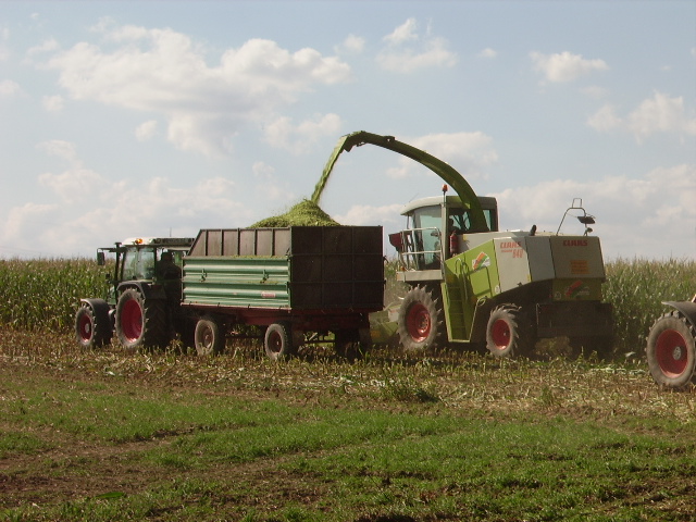Ein Fendt Traktor und ein Claas Jaguar Maishcksler auf einen Maintaler Feld am 27.08.09