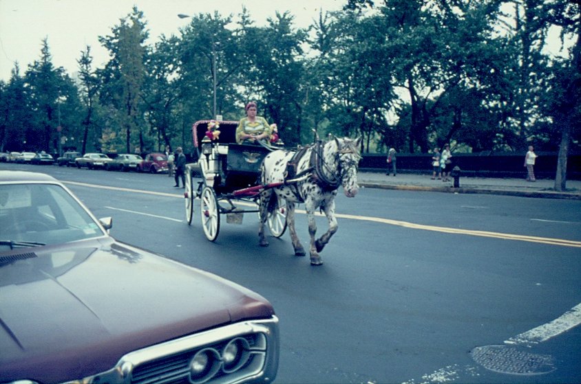 Eine Kutsche vor dem Central Park in New York. (Dia gescannt - April 1975)
