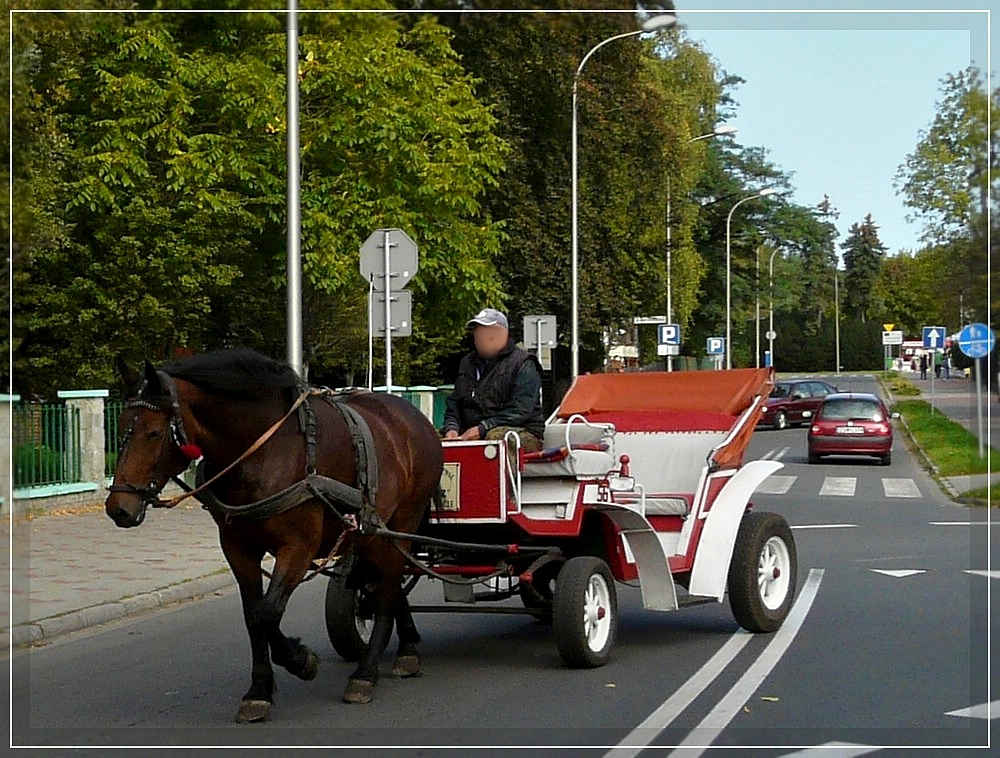 In Swinoujscie (Polen) sieht man noch viele solcher Pferdegespanne mit dennen man eine Stadrundfahrt machen kan.  23.06.11