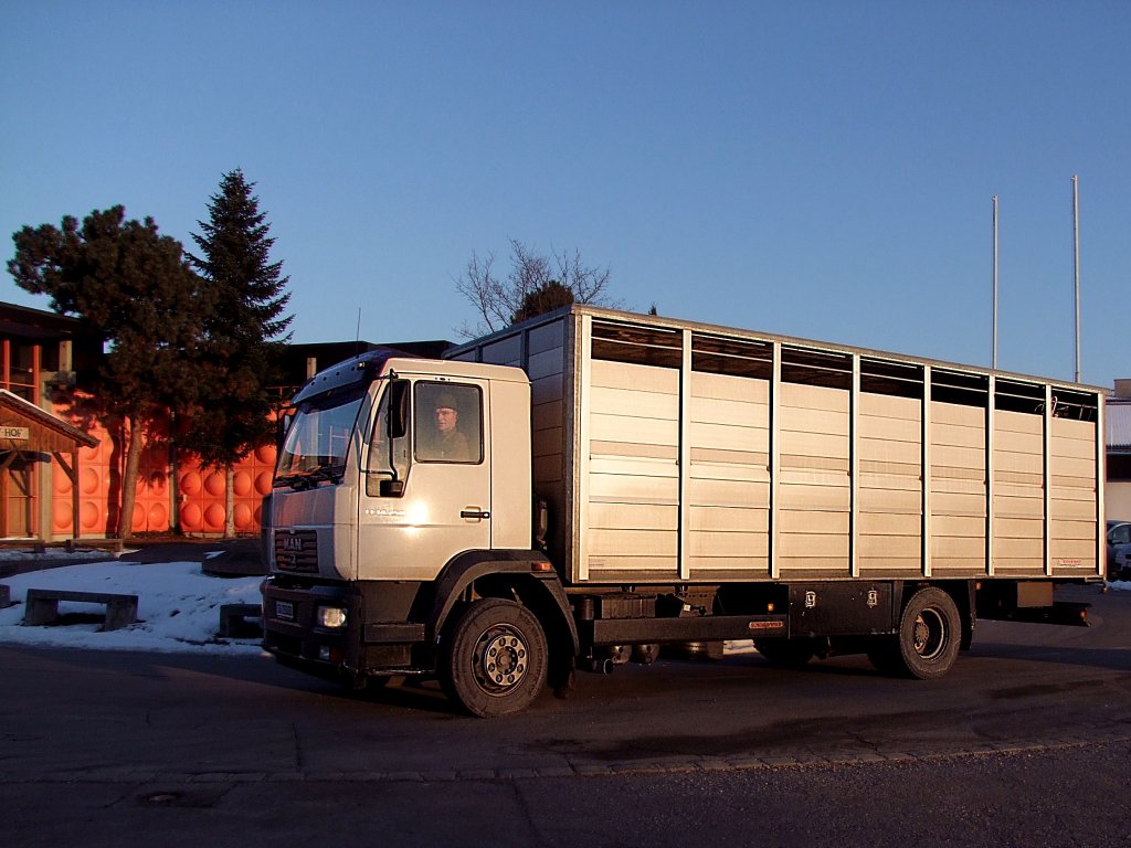 MAN LE14.250 transportiert Rinder zu den FIH-Stallungen;110129