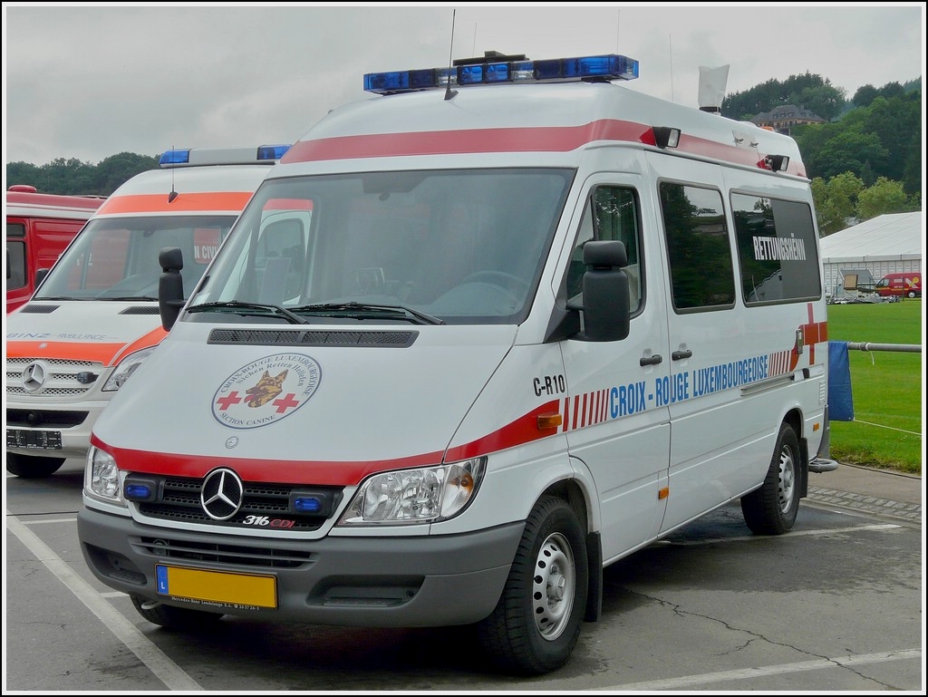 Mercedes Benz 316 CDI der Rettungshundestaffel des Luxemburger Roten Kreuzes aufgenommen am 07.06.2008 in Ettelbrck.  