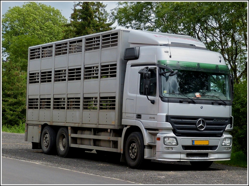 Mercedes Benz Actros 2546 Schweinetransporter abgestellt am Strassenrand.  20.07.2012
