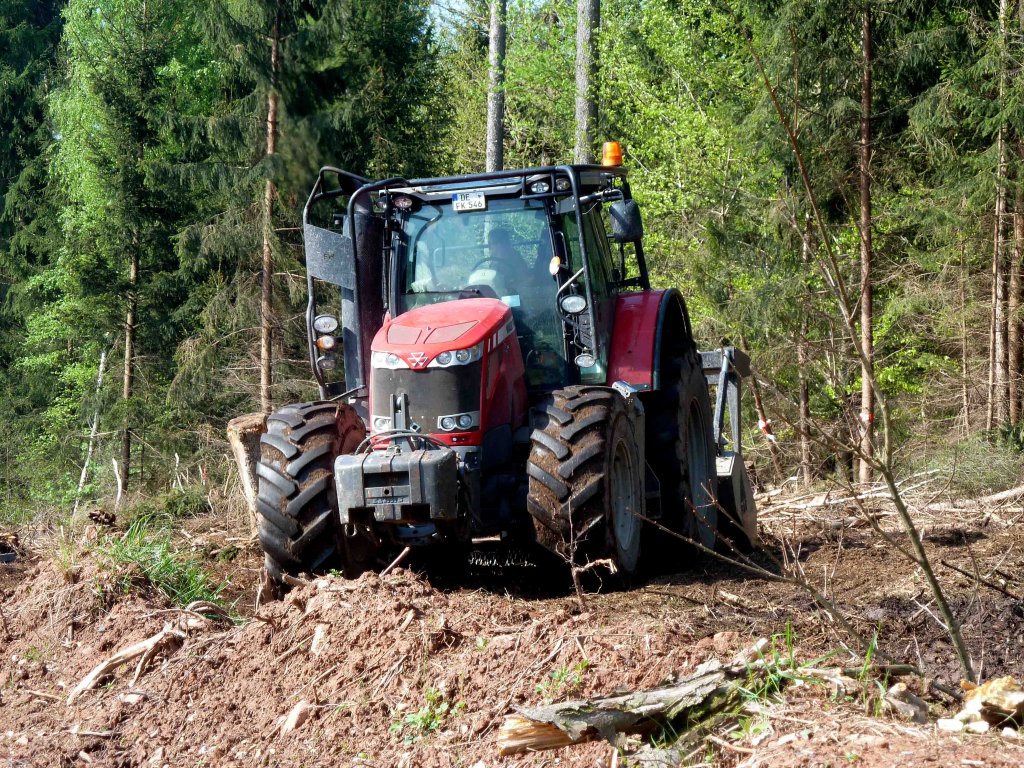 MF 8650 bei Mulcharbeiten in einem Waldabschnitt von Hessen-Forst Revierfrsterei Marbach, im Mai 2013
