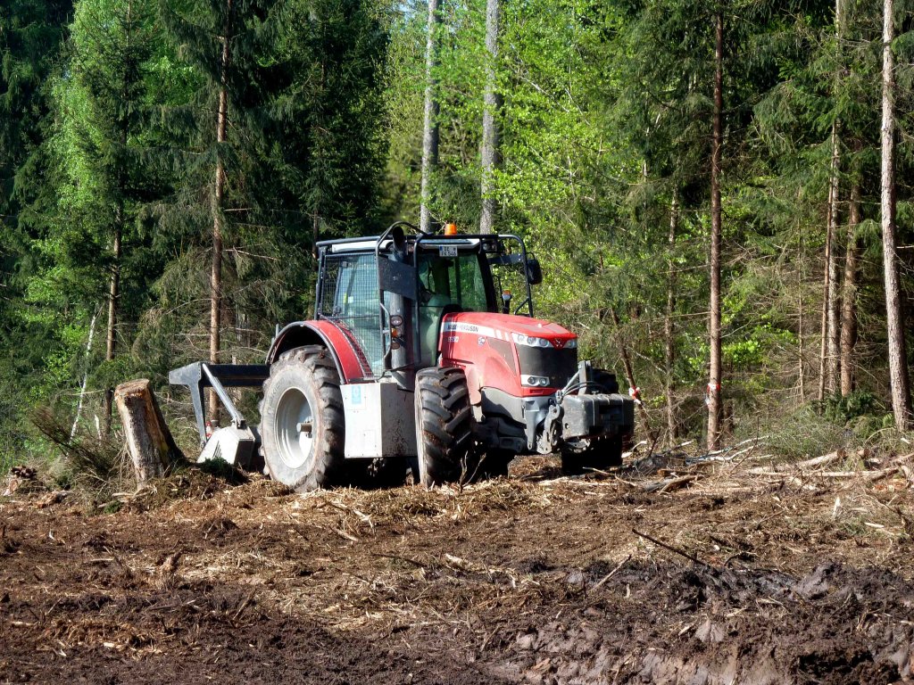 MF 8650 bei Mulcharbeiten in einem Waldabschnitt von Hessen-Forst Revierfrsterei Marbach, im Mai 2013
