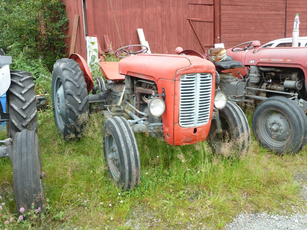 MF, gesehen in Sdnorwegen im Juli 2011