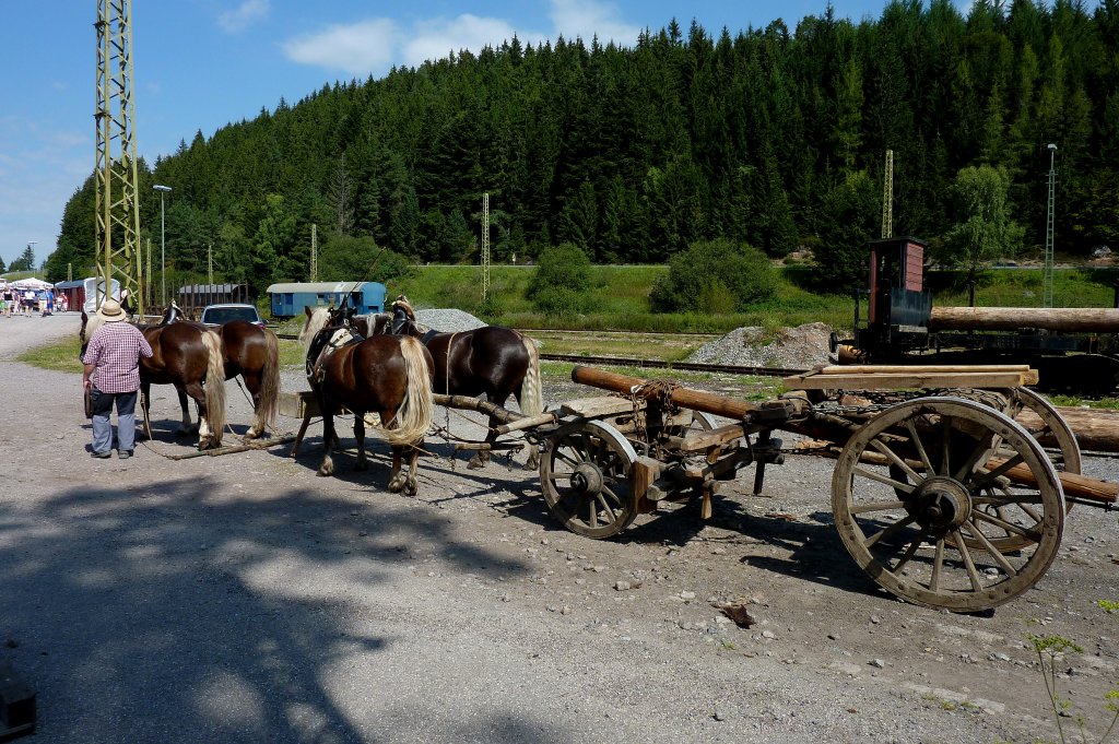 mit Pferdebespannung und solchen Wagen(hier zusammengelegt) wurde frher das Langholz transportiert, gesehen bei einer Vorfhrung in Seebrug am Schluchsee, Aug.2011