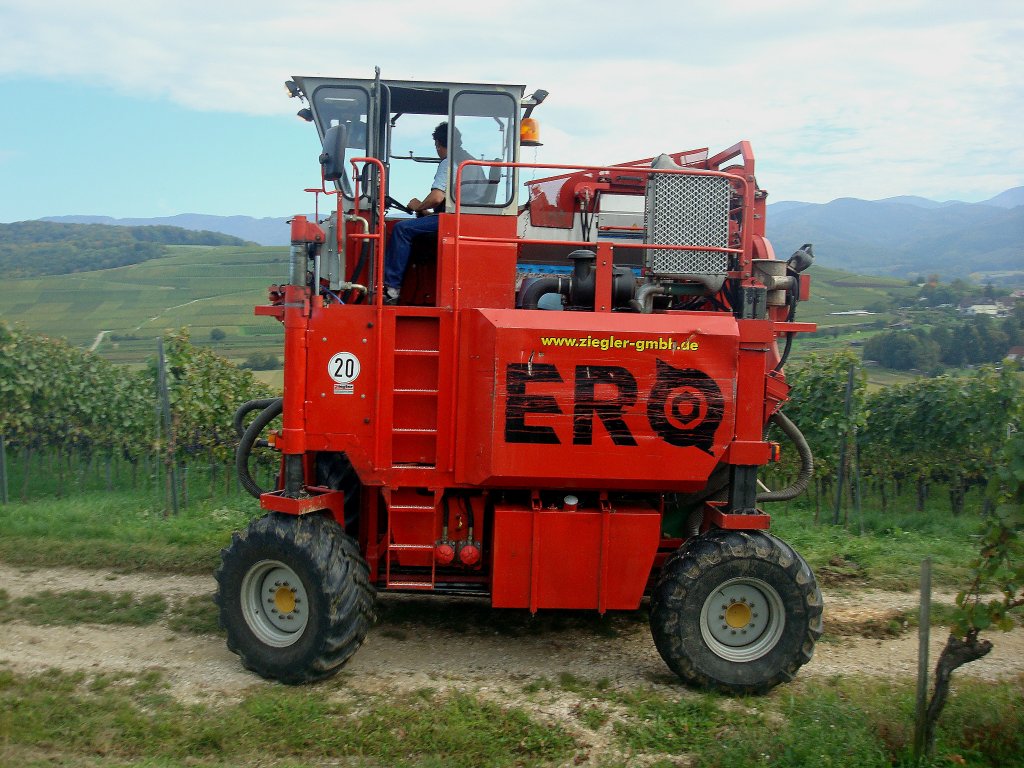 Traubenvollerntemaschine der Firma ERO aus Niederkumbd/Rheinland-Pfalz,
gesehen im Markgrflerland, Okt.2010