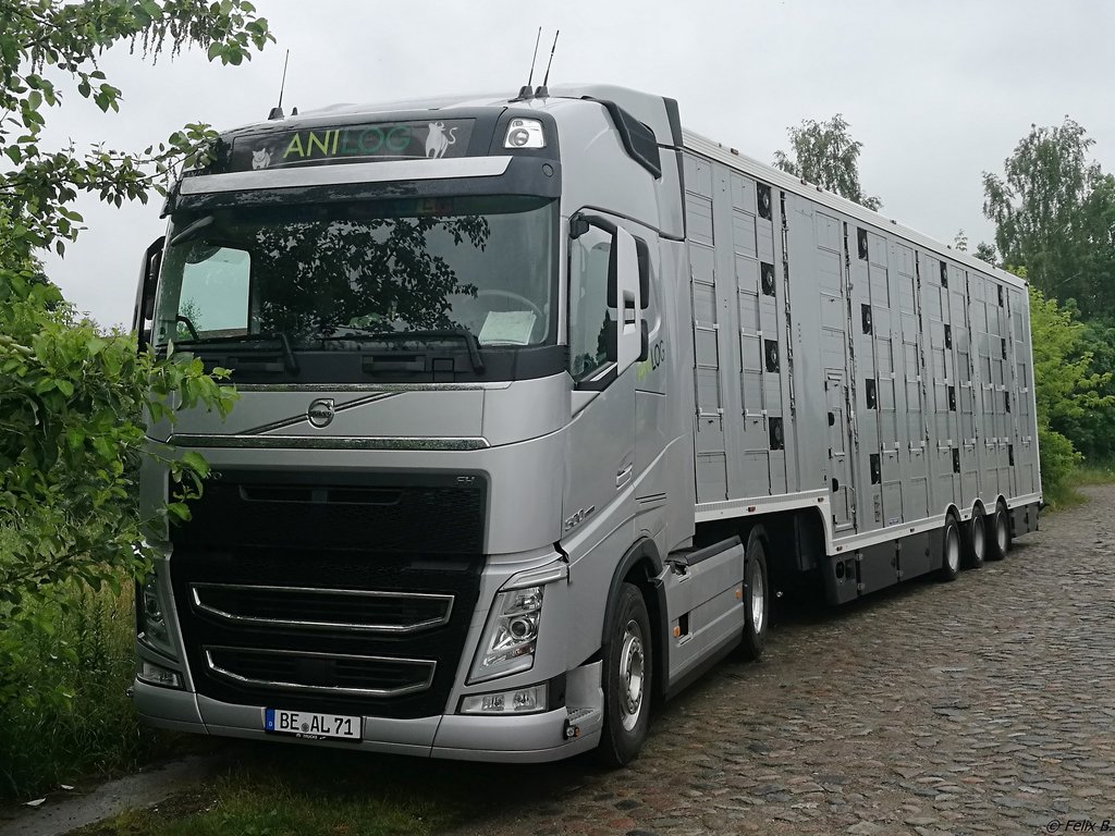 Volvo FH 500 Tiertransporter in Neubrandenburg am 23.06.2017