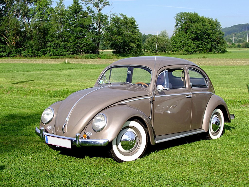 VW-Kfer, Baujahr 1955 ist auf Hochglanz poliert, soda sich ein weiterer Kfer darin spiegeln kann;110717