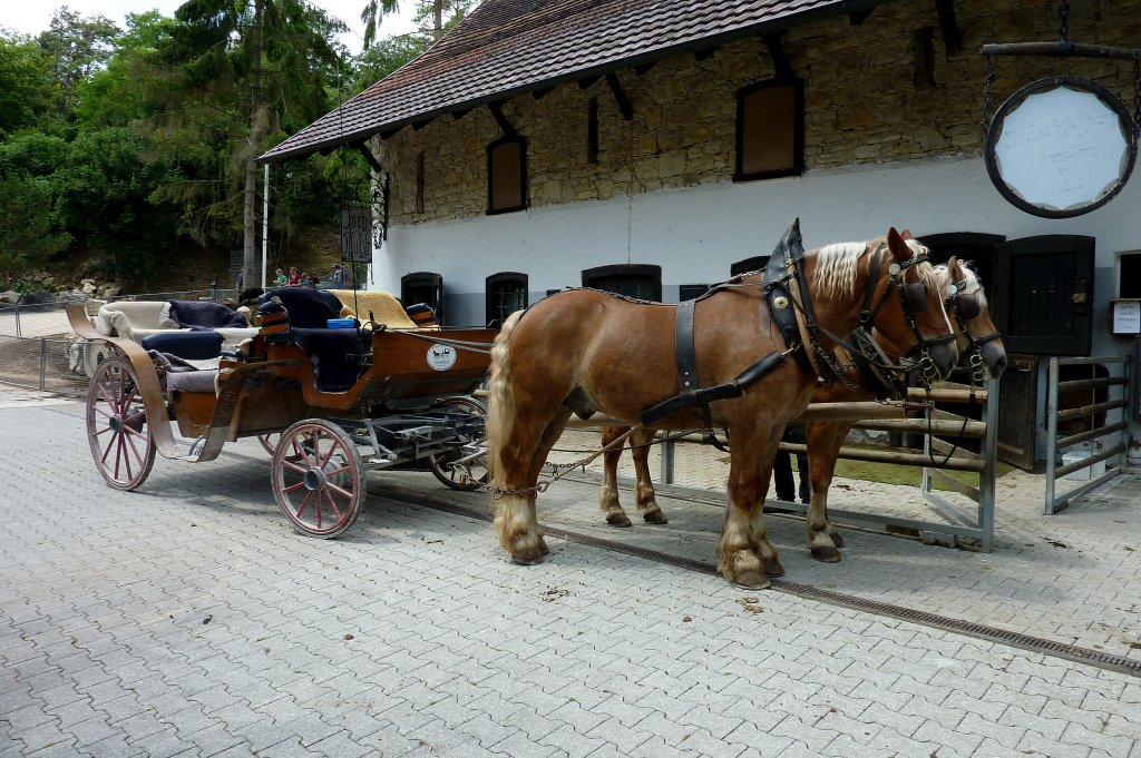Zweispnner Pferdekutsche wartet auf Gste, Juli 2012