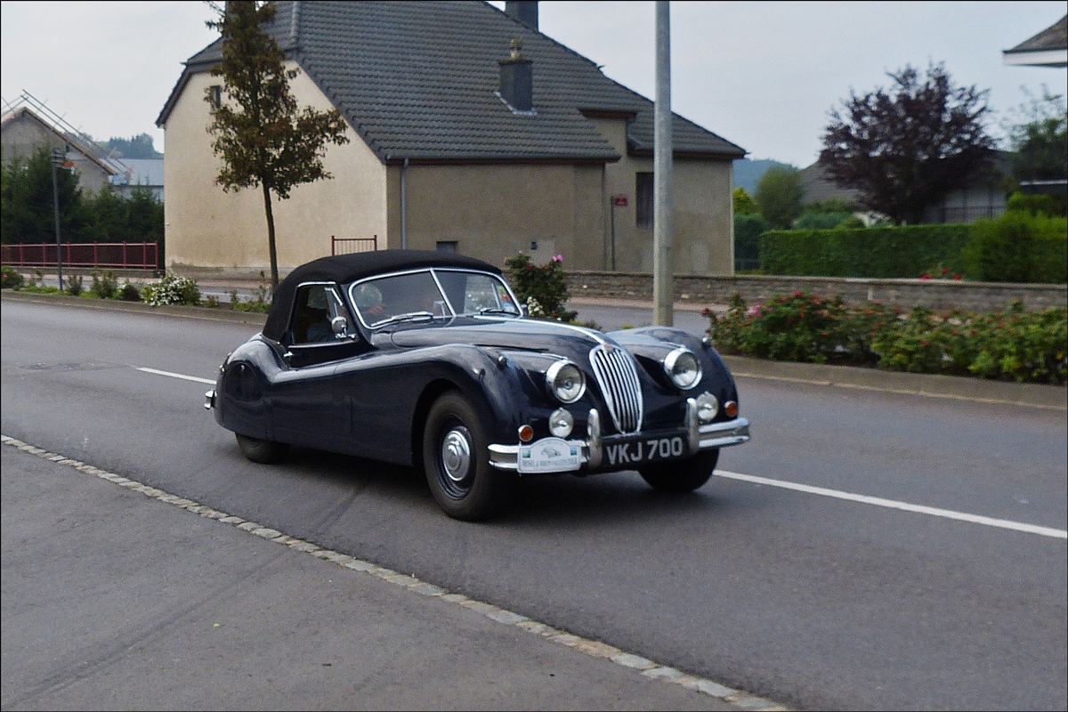 . Jaguar XK Roadsteraufgenommen am 06.09.2014 im Norden von Luxemburg.