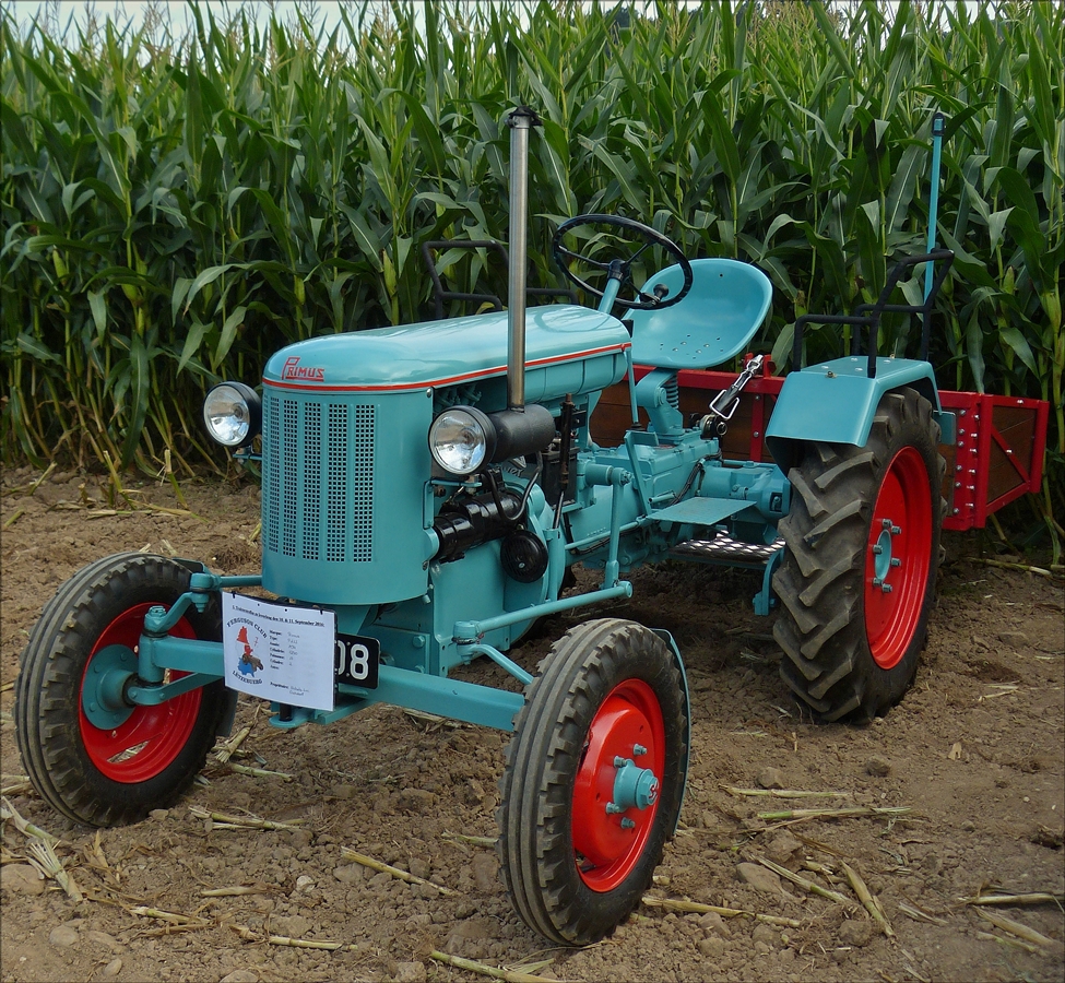 . Primus PD 2; Bj 1954; 1250 ccm; 17 Ps; 2 Zyl; aufgenommen am 11.09.2016 beim traktorentreffen in Everlingen.
