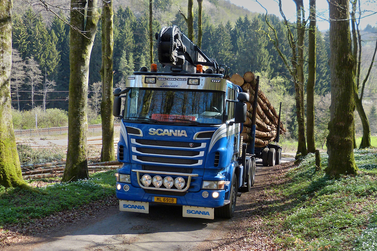 . Scania R 620 mit Langholz beladen hat keine Mühe den Schmalen Steilen Waldweg hochzufahren.  22.04.2015