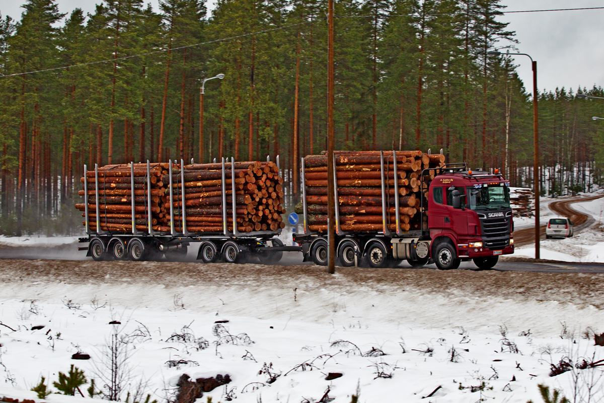 9 achsig fährt in Luumäki/Finnland ein Volvo R 590 Holztranporter vorüber.Bild vom 28.1.2016