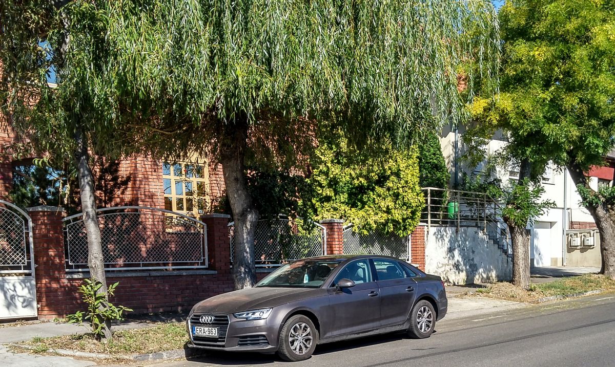Audi A4 B9. Aufnahme: 09.2020
