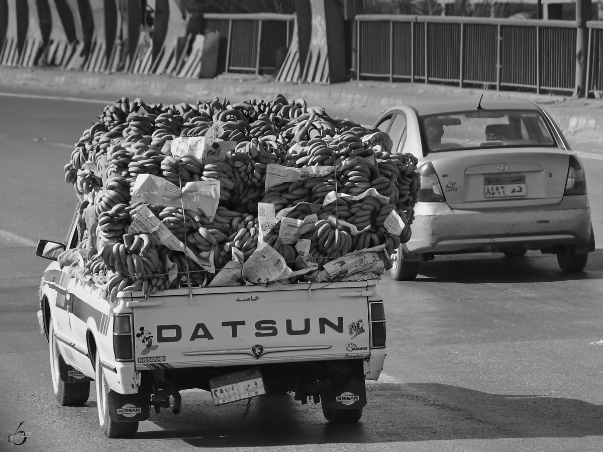 Bananentransport mit einem Datsun-Pickup Mitte Dezember 2018 in Kairo.