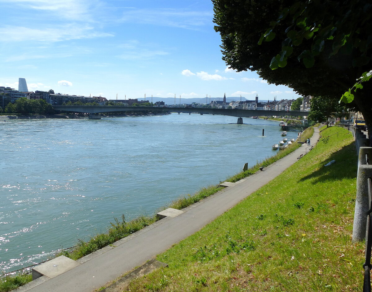 Basel, der der Rad-und Fußweg am linken Rheinufer, Juli 2016