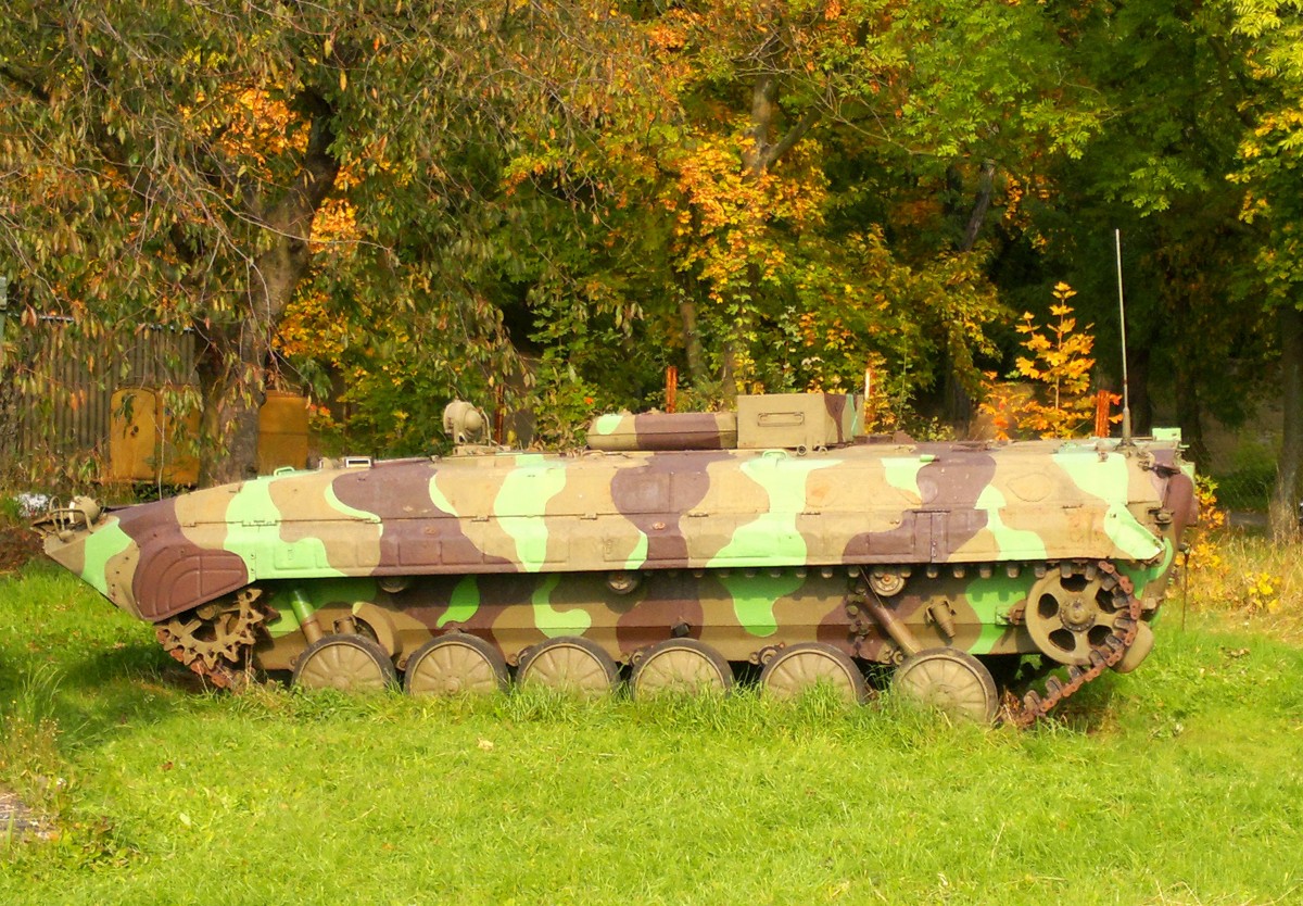 BVP1 mit MU90 Minenswapper in Militrmuseum Smečno am 6.10.2012.Tschechoslowakischen Armee 