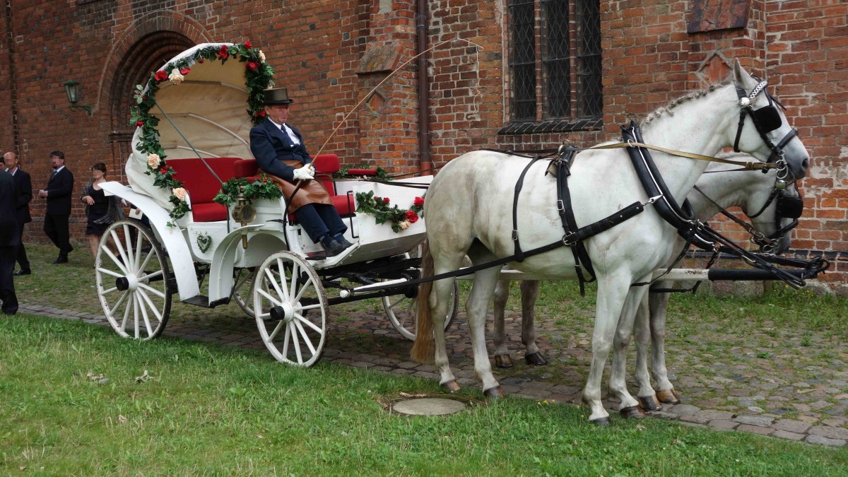die Hochzeitskutsche wartet auf das Brautpaar in Güstrow, August 2014