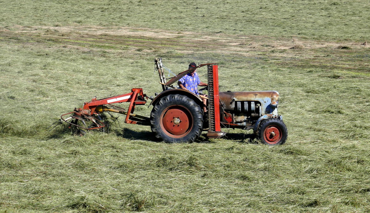 ein alter Eicher-Traktor beim Heuwenden, Schwarzwald Juni 2019