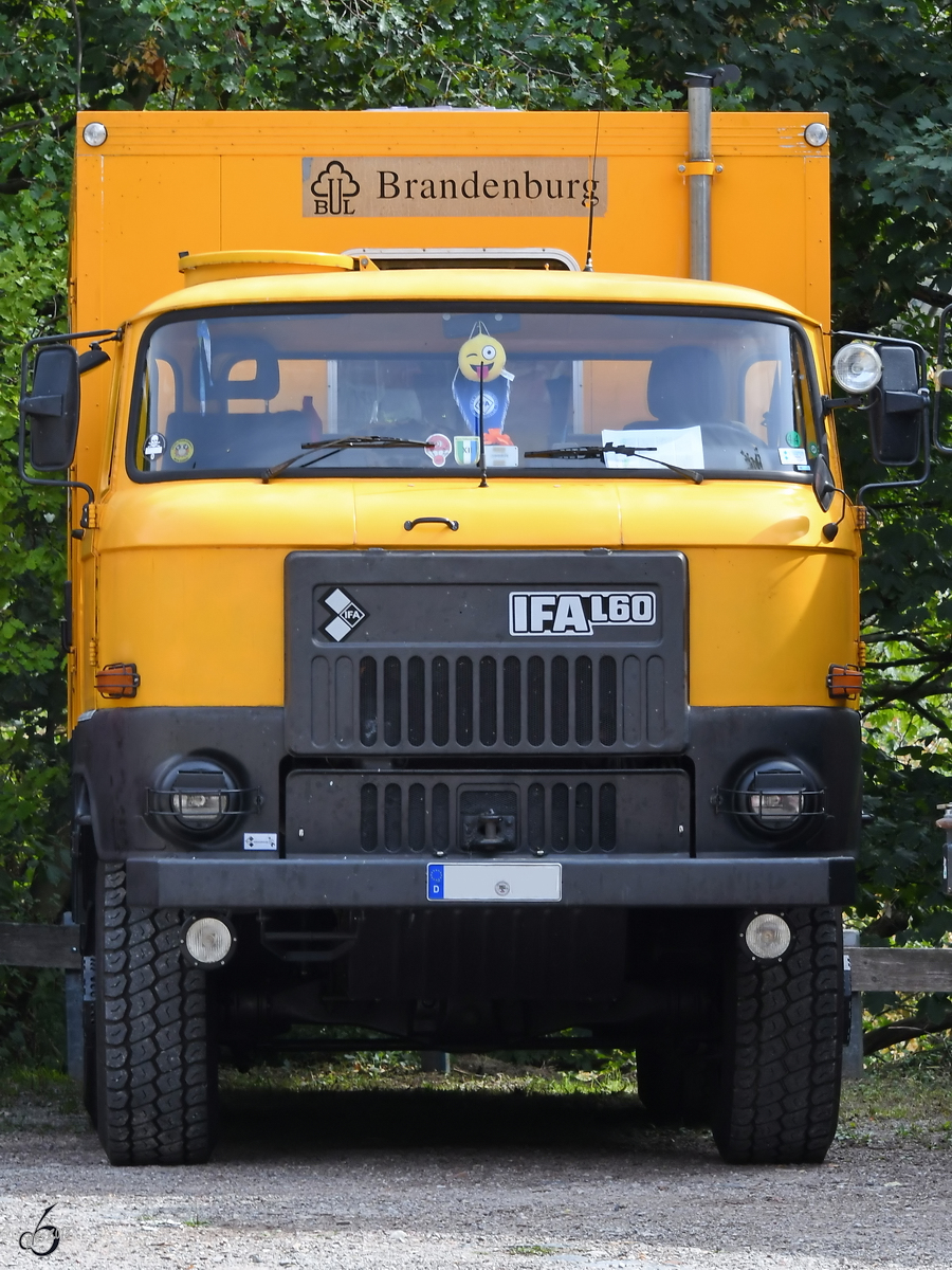 Ein IFA L60 im September 2018 in Bad Frankenhausen.