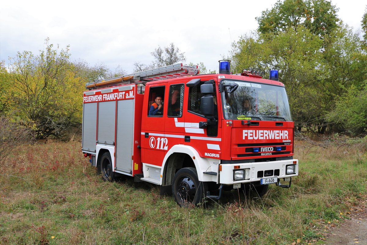 Feuerwehr Frankfurt IVECO LF10/6 (Florian Frankfurt 13/43) am 27.10.18 im Bereitstellungsraum Enkheimer Ried bei der Herbstabschlussübung der Jugendfeuerwehr