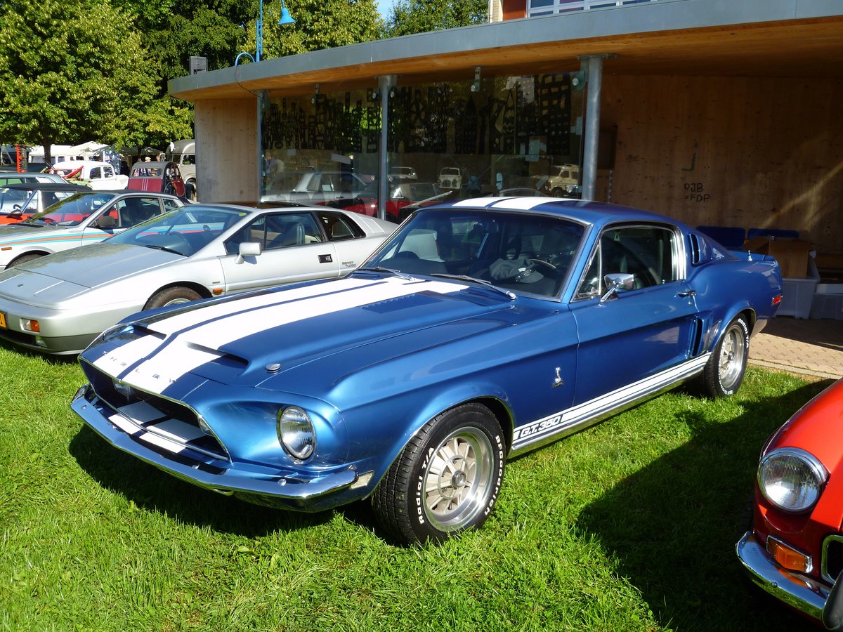 Ford Mustang Shelby GT 350, Vintage Cars & Bikes in Steinfort am 06.08.2016