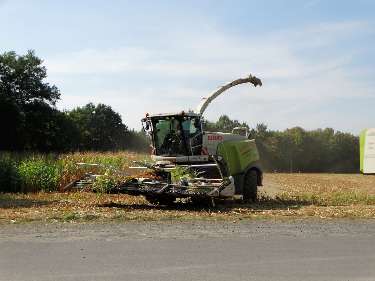 Lohnunternehmen Mäser Claas Jaguar 950 beim Mais Ernten am 15.09.16 in der Nähe von Altenstadt (Hessen)