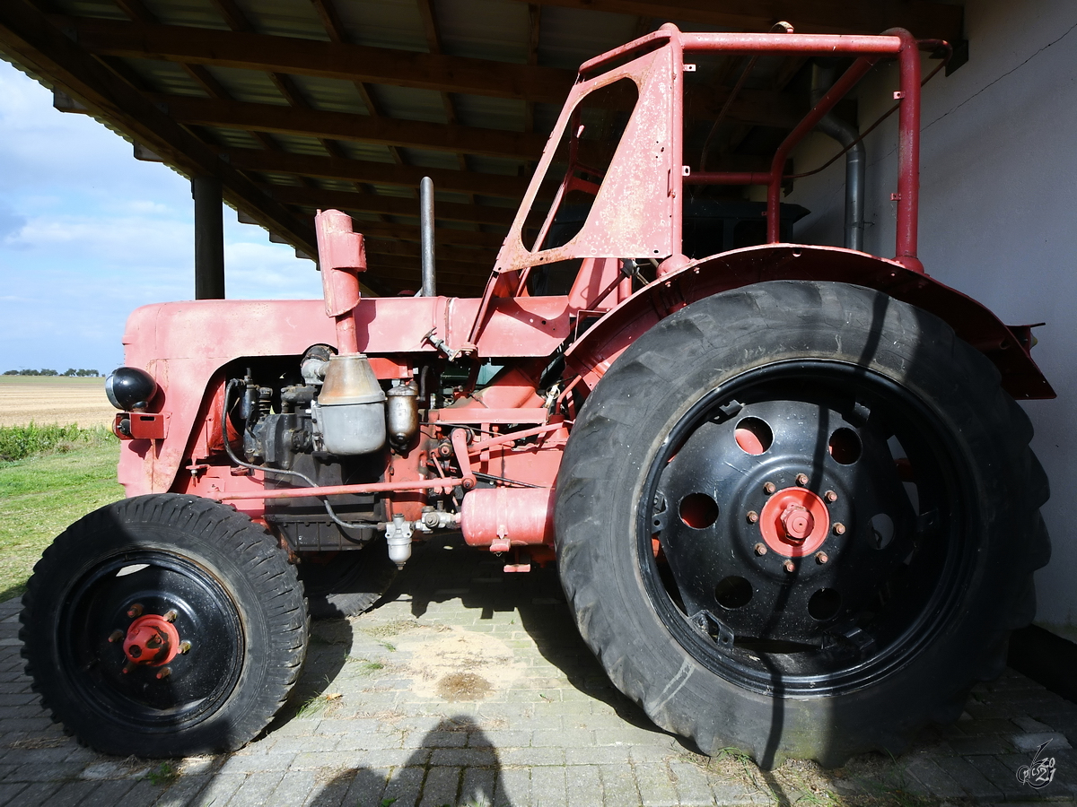 Mitte August 2021 war im DDR-Museum Dargen dieser Traktor RS 14/40 Famulus zu sehen.