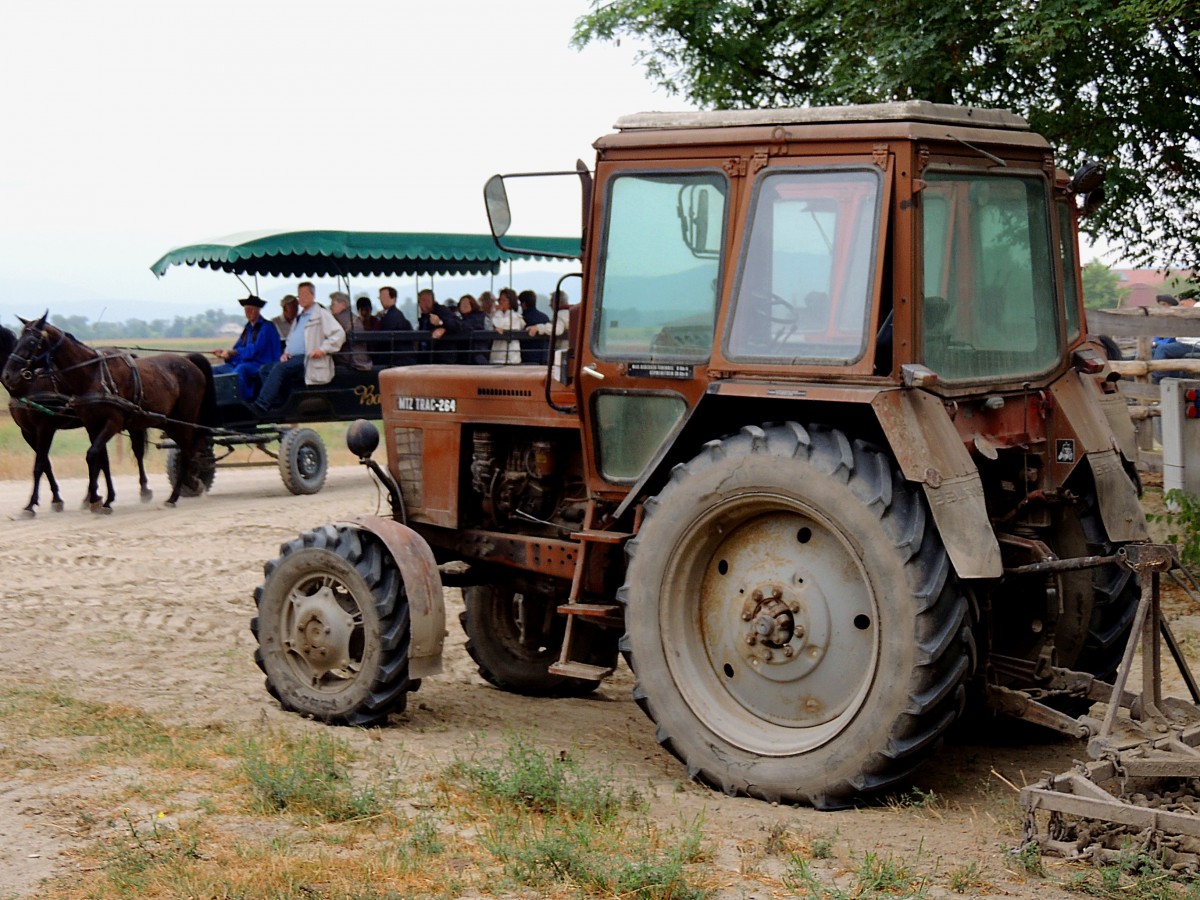 MTZ-TRAC-264,Belarus; vom Minsker Traktorenwerk, dient einem Ungarischen Reiterhof als verlssliches Arbeitsgert; 130826
