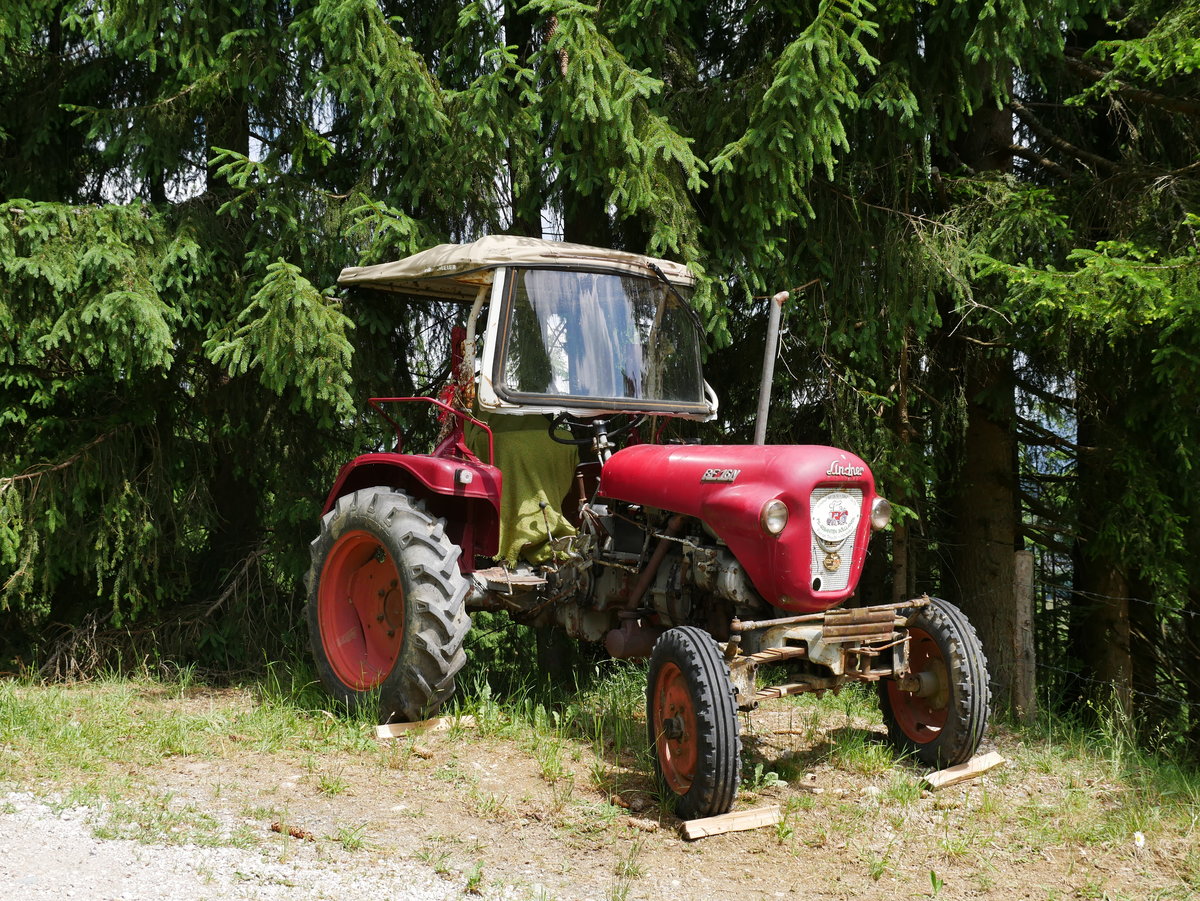 Oldtimer Traktor Lindner BF 16N: Baujahr 1962, Leistung 16 PS; präsentiert von PS-GIGANTEN SÖLLLANDL; oberhalb der Silleralm / Tirol; 17.06.2017
