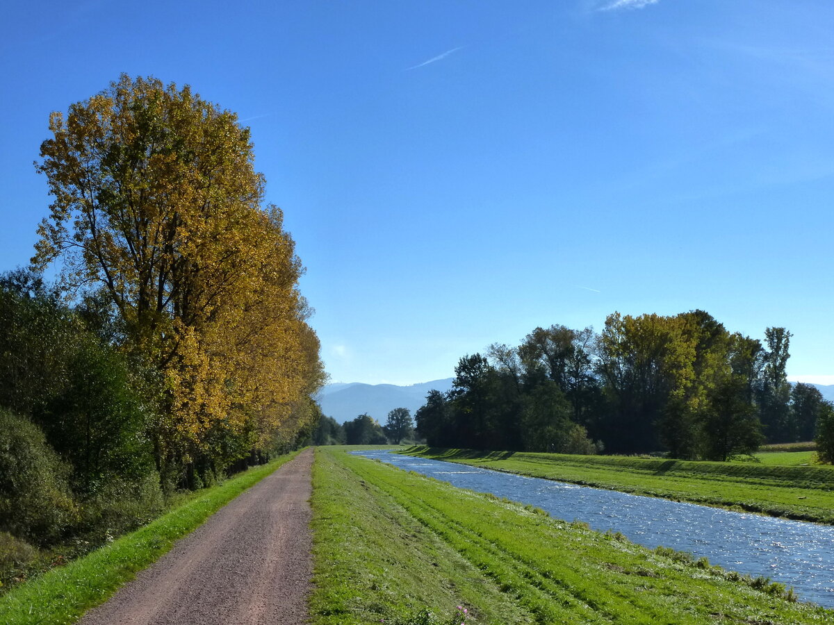 Radweg entlang der Dreisam zwischen Neuershausen und Buchheim, Okt.2013