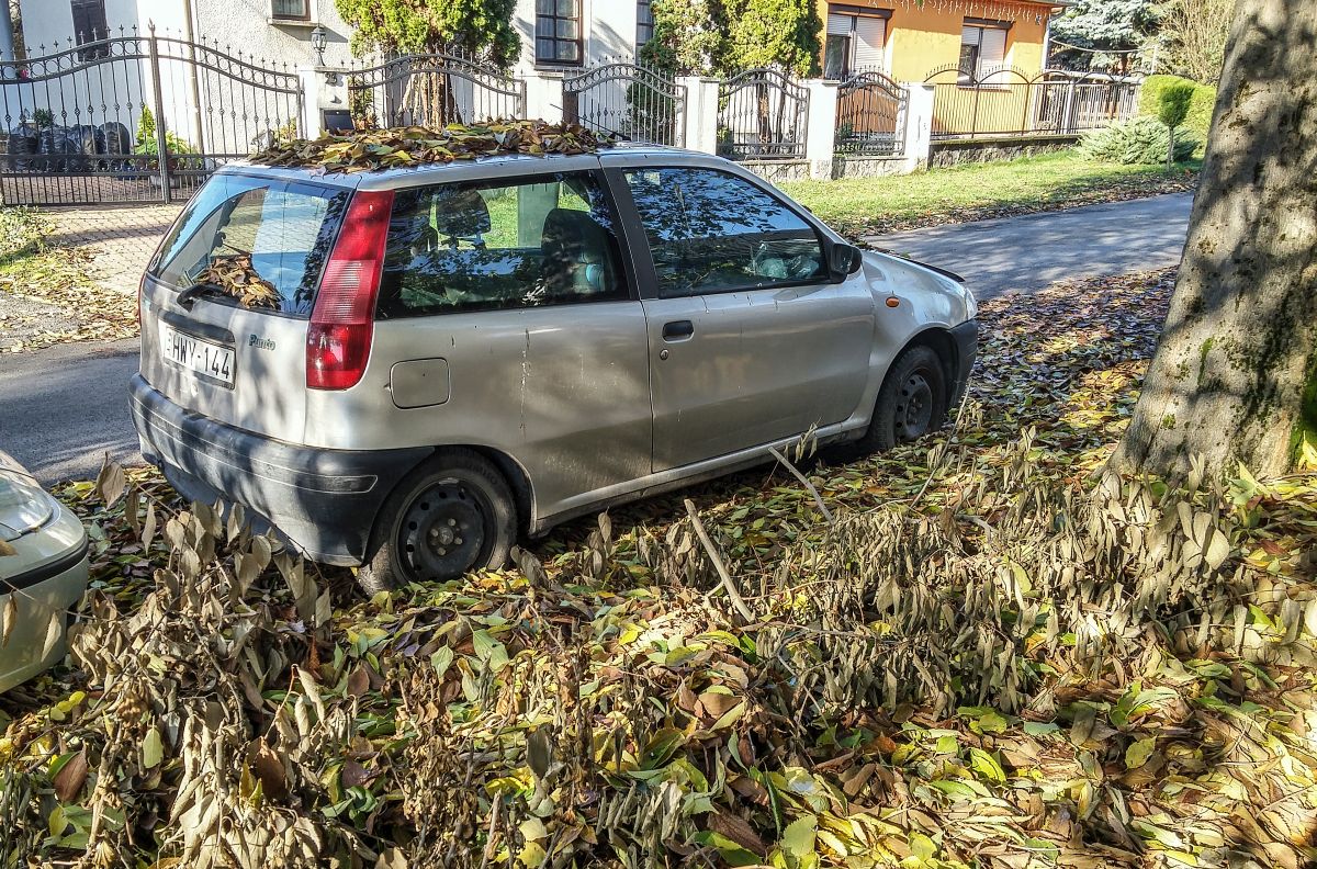Rückansicht: verlassene Fiat Punto der ersten generation. Foto: 11.2020.