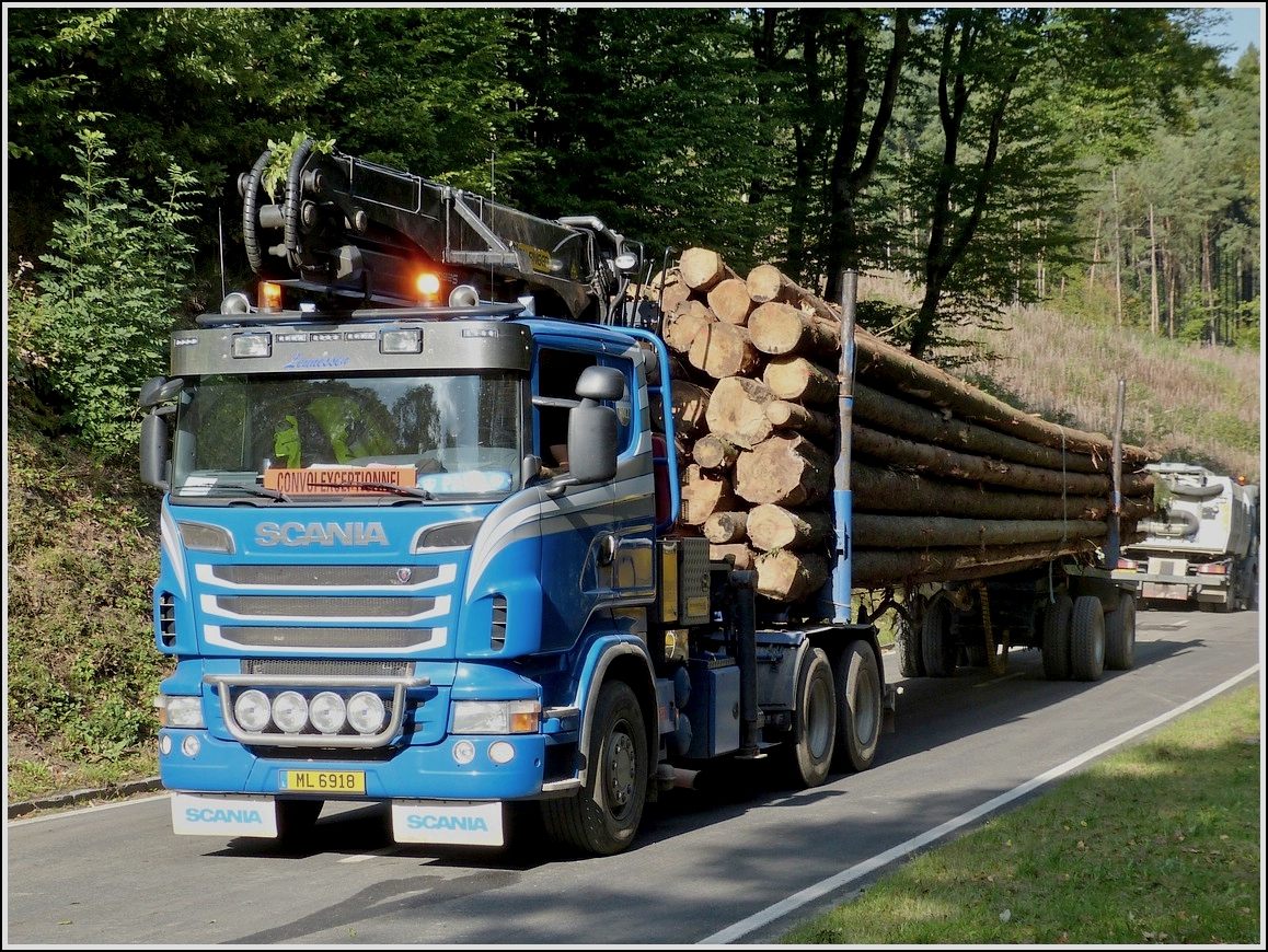 Scania Lang-Holztransporter gesehen am 01.10.2013.