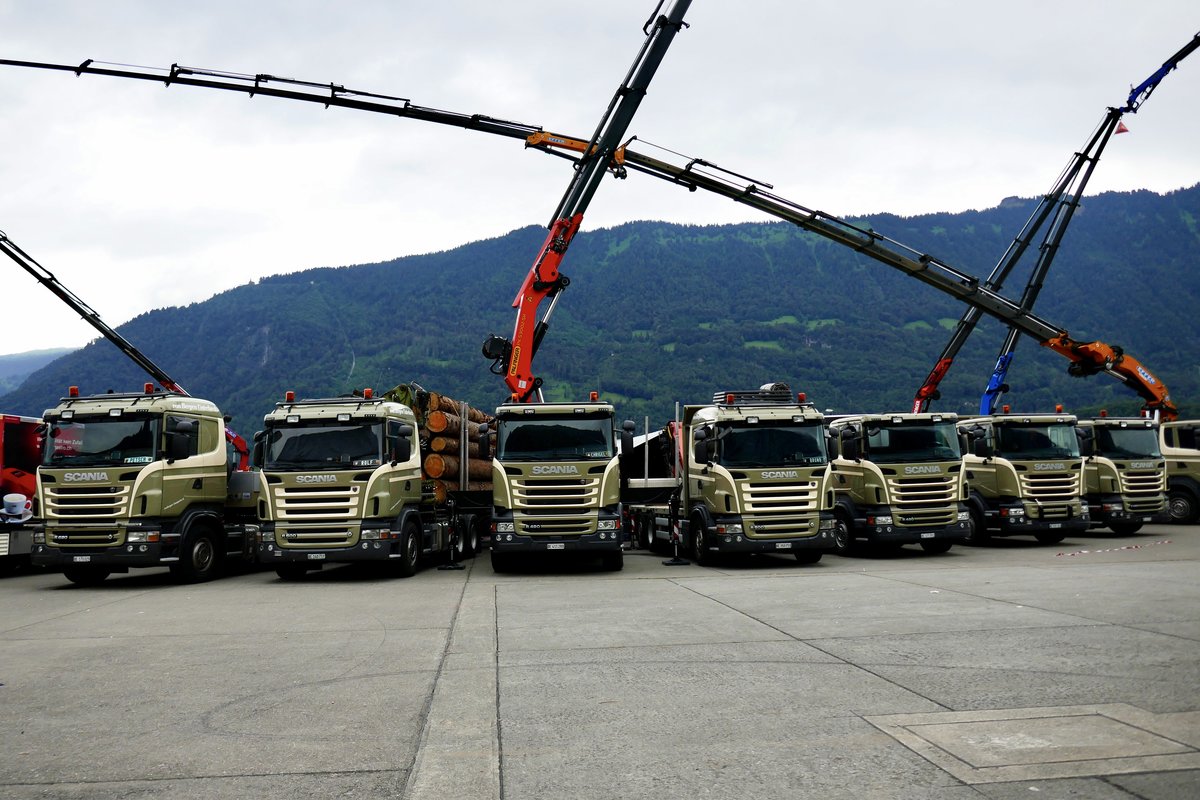 Sieben Scani Transporte von von Bergen Unterbach 26.6.16 beim Trucker Festival Interlaken.