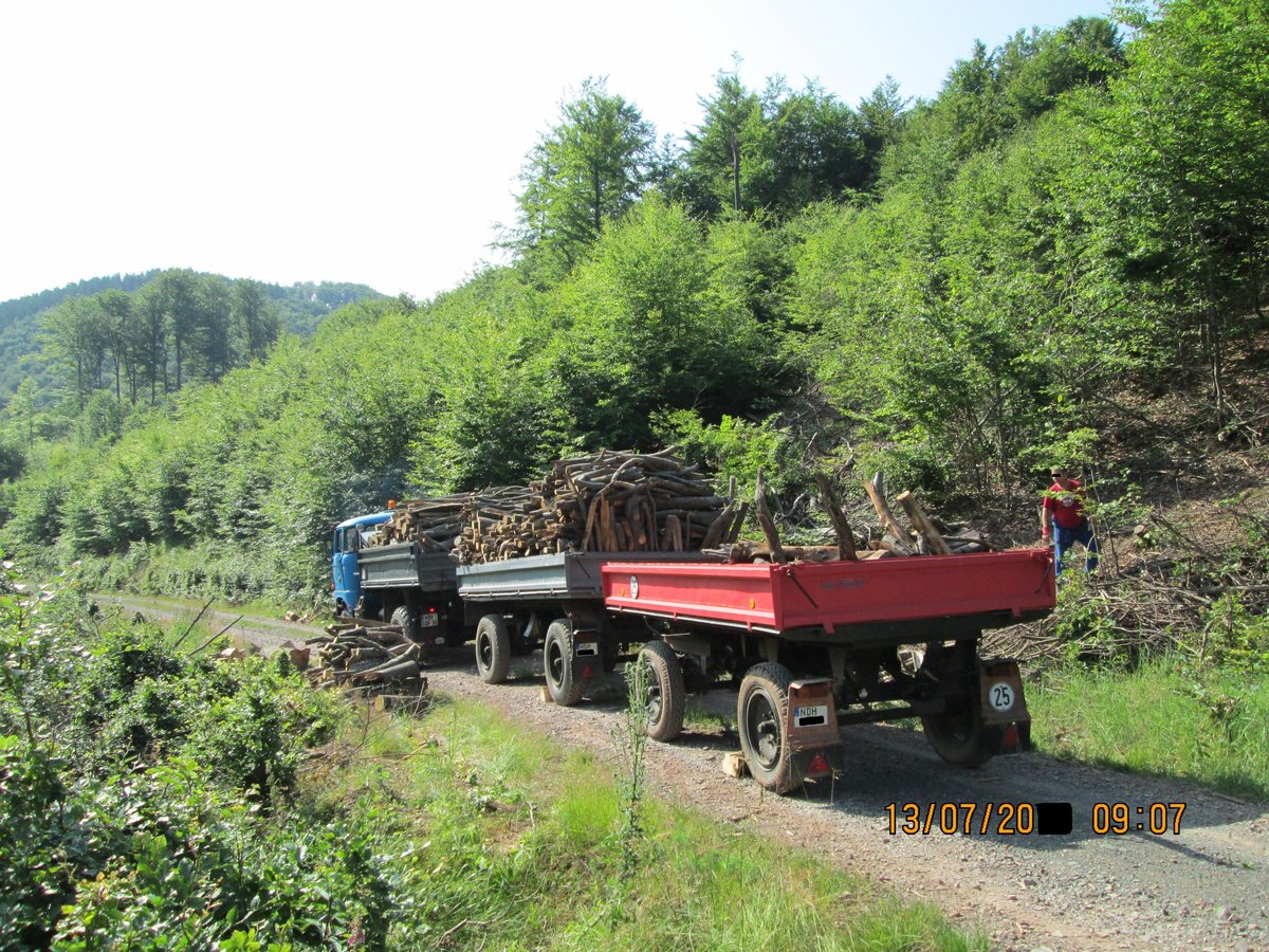 W50LA-THK5-THK3 Holztransport im Südharz dieser Waldweg ist fast 3 km lang mit sehr starken Gefälle da muss man sie voll auf die Bremsen verlassen können , ein Fehler währe nicht mehr zu korrigieren raus springen ist die einzige Lösung Bild von 12.07.2010