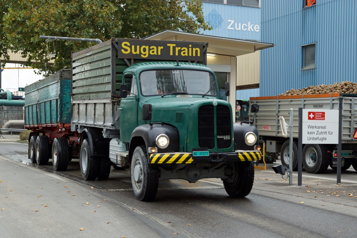 Zuckerrübenkampagne 2015 Aarberg
SAURER: Ein alter SAURER 5 DM stand am 10. Oktober 2015 im Raume Aarberg für einen Rübenring als SUGAR TRAIN im Einsatz.
Foto: Walter Ruetsch  