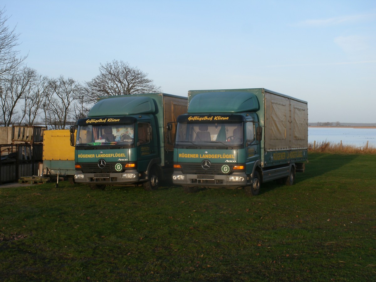 Zwei Mercedes Geflgeltransporter,am 17.November 2013,in Mursewiek.