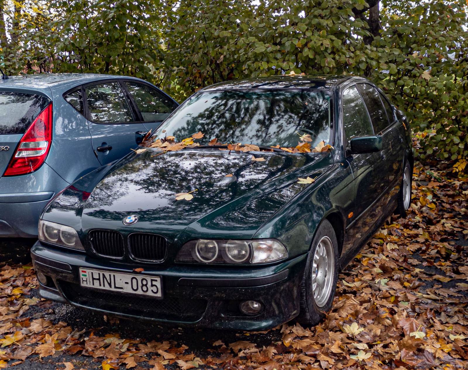 Diesen dunkelgrüner BMW 5 e39 habe ich in November, 2022 gesehen.