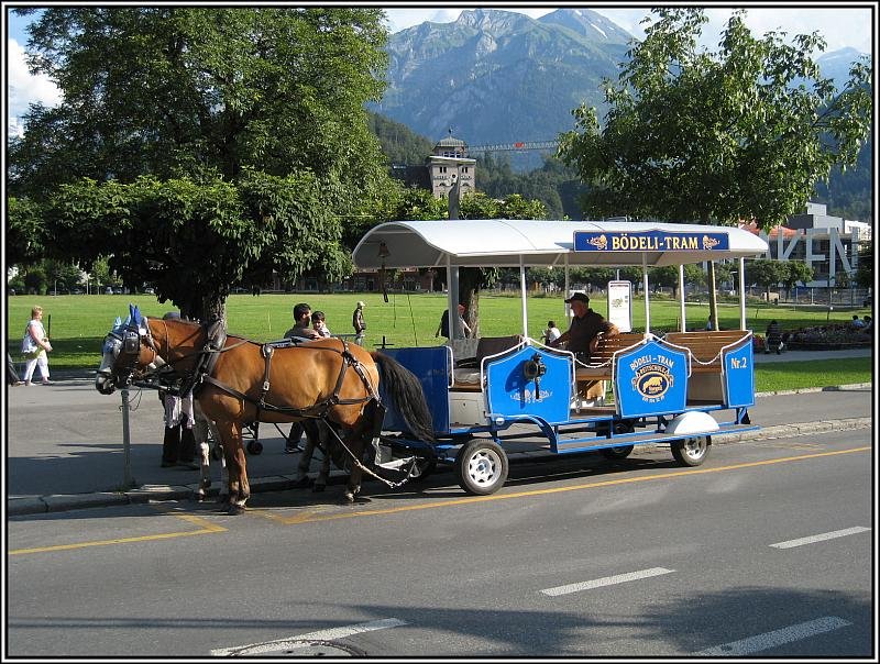 Diese Kutsche war am 25.07.2008 als  Bdeli-Tram  in Interlaken unterwegs.