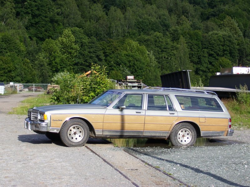 Dieser Cadillac stand am 20.06.08 in Wolkenstein.