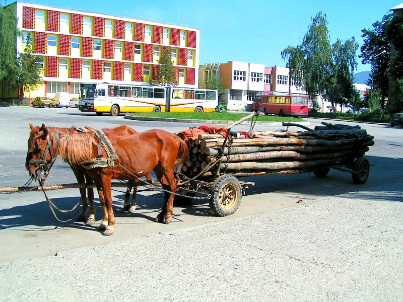 Ein  alltgliches  Bild aus Rumnien, wo neben motorisiertem Verkehr noch Pferdefuhrwerke ihre Berechtigung finden; 050910