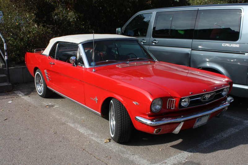 Ford Mustang I Cabriolet (Bj. 1966), September 2009