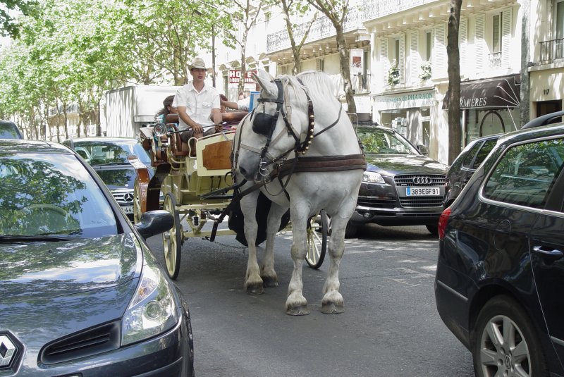Inmitten des Verkehrsgewhles auf den Pariser Strassen eine Kutsche zur Rundfahrt rings um den Eiffelturm - hier in der Nhe der Ecole Militaire am 15.07.2009