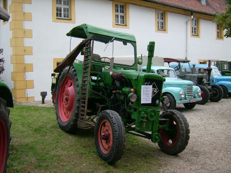 Lachtaube RS04/30 im Innenhof des Landwirtschaftsmuseums Blankenhain