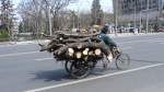 Auf der Wusi Dajie in Beijing fanden Baumfällarbeiten statt, und irgendwie musste das Kleinholz ja abtransportiert werden. Ein Hilfsmotor erleichterte die Strampelei natürlich ungemein...