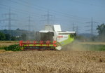 staubige Angelegenheit, Claas Lexion 560 bei der Weizenernte in der Rheinebene, Juli 2016